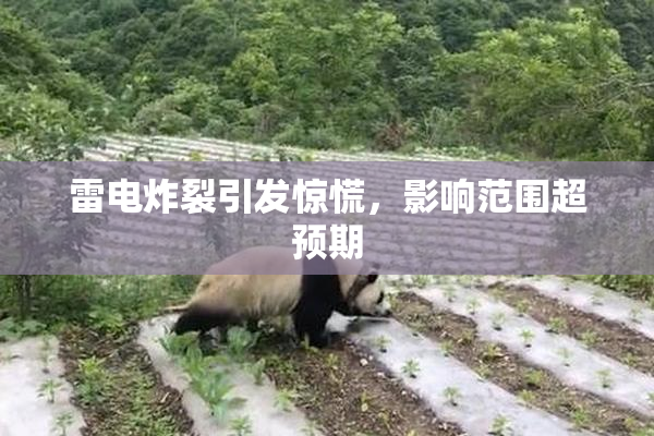 雷电炸裂引发惊慌，影响范围超预期