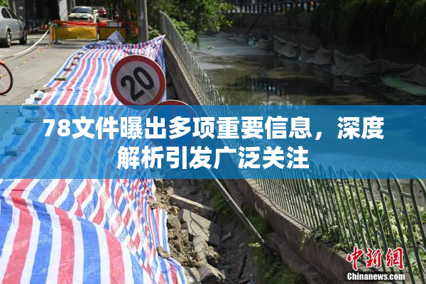 78文件曝出多项重要信息，深度解析引发广泛关注