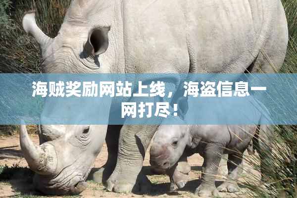 海贼奖励网站上线，海盗信息一网打尽！
