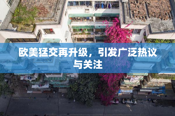 欧美猛交再升级，引发广泛热议与关注