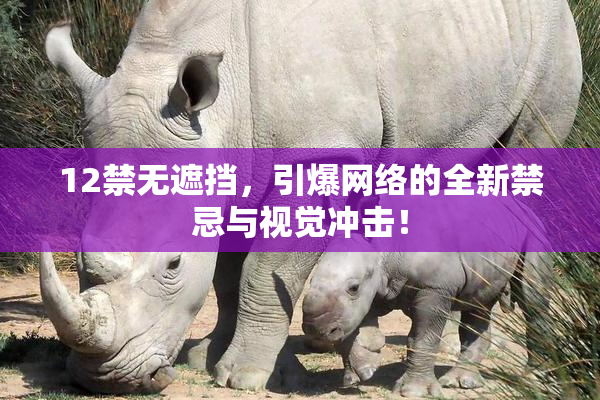 12禁无遮挡，引爆网络的全新禁忌与视觉冲击！