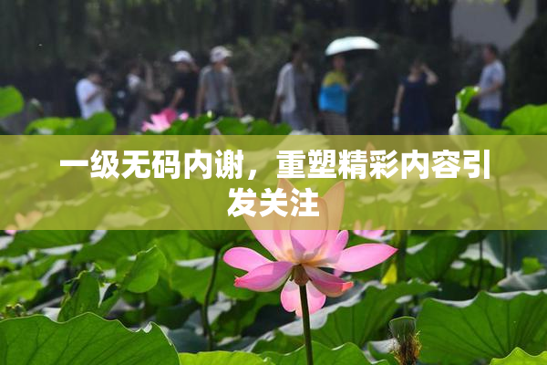 一级无码内谢，重塑精彩内容引发关注