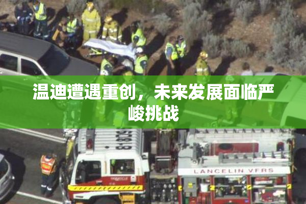 温迪遭遇重创，未来发展面临严峻挑战