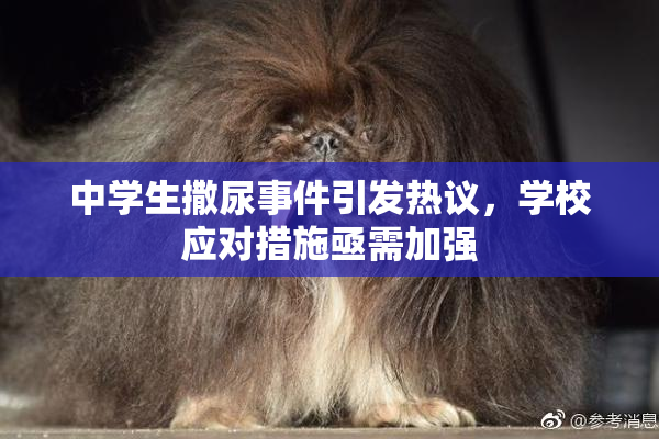 中学生撒尿事件引发热议，学校应对措施亟需加强