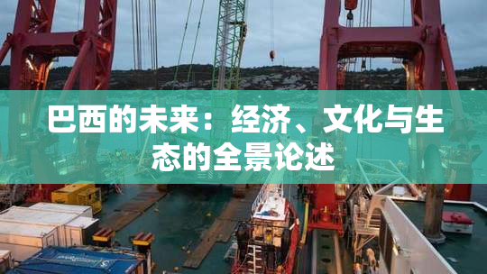 巴西的未来：经济、文化与生态的全景论述