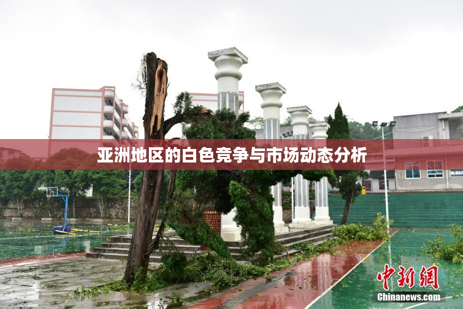 亚洲地区的白色竞争与市场动态分析
