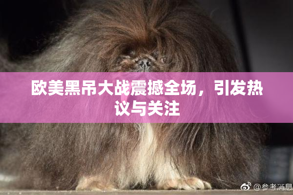 欧美黑吊大战震撼全场，引发热议与关注