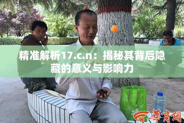 精准解析17.c.n：揭秘其背后隐藏的意义与影响力