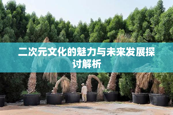 二次元文化的魅力与未来发展探讨解析