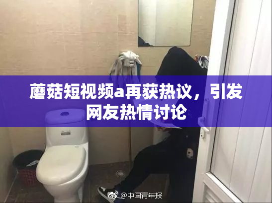 蘑菇短视频a再获热议，引发网友热情讨论