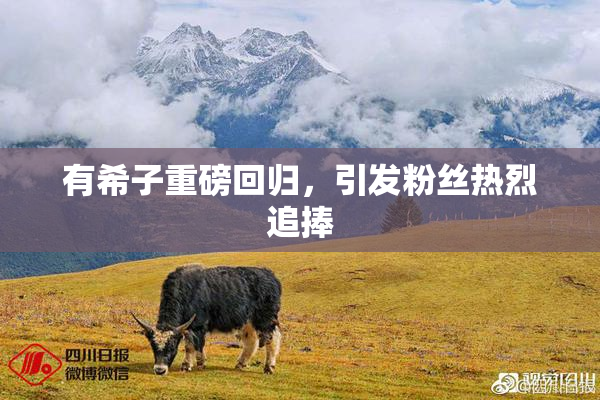 有希子重磅回归，引发粉丝热烈追捧