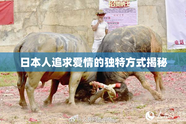 日本人追求爱情的独特方式揭秘