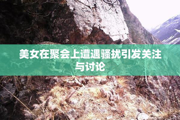 美女在聚会上遭遇骚扰引发关注与讨论