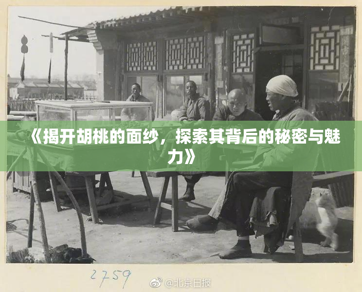 《揭开胡桃的面纱，探索其背后的秘密与魅力》