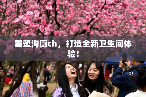 重塑沟厕ch，打造全新卫生间体验！
