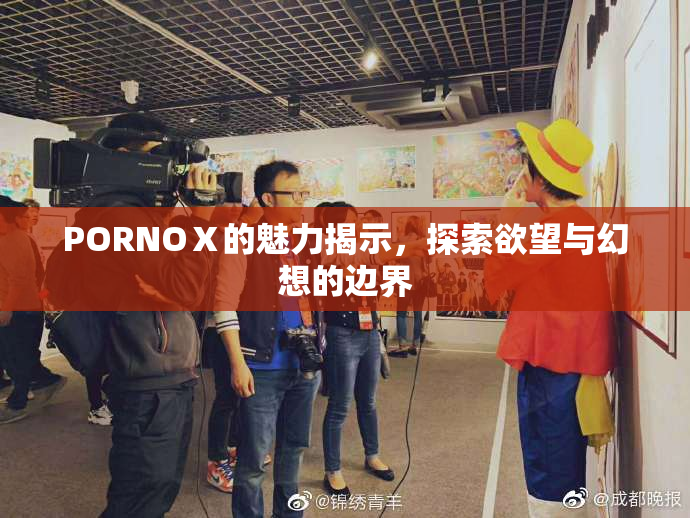 PORNOⅩ的魅力揭示，探索欲望与幻想的边界