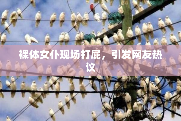 裸体女仆现场打屁，引发网友热议