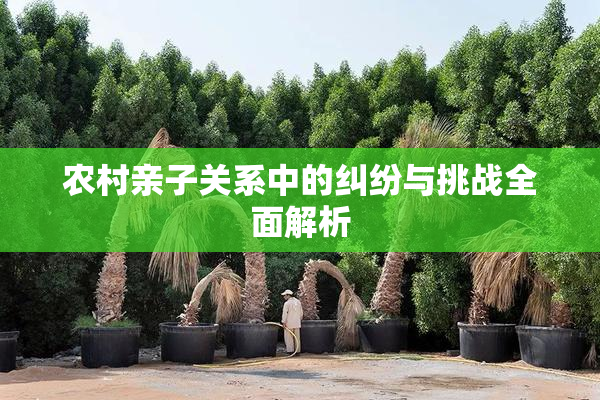 农村亲子关系中的纠纷与挑战全面解析