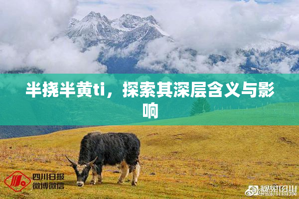 半挠半黄ti，探索其深层含义与影响
