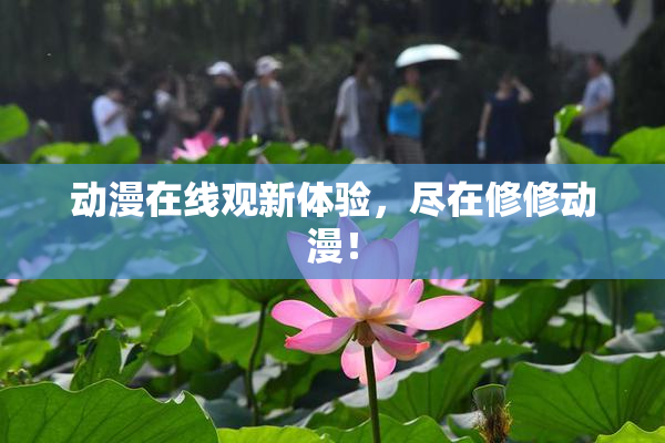 动漫在线观新体验，尽在修修动漫！