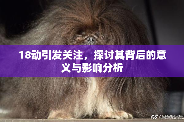 18动引发关注，探讨其背后的意义与影响分析