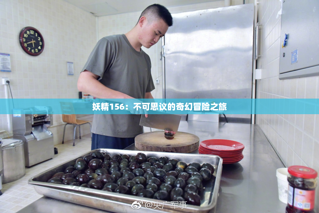 妖精156：不可思议的奇幻冒险之旅