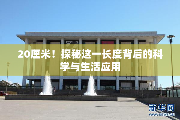 20厘米！探秘这一长度背后的科学与生活应用