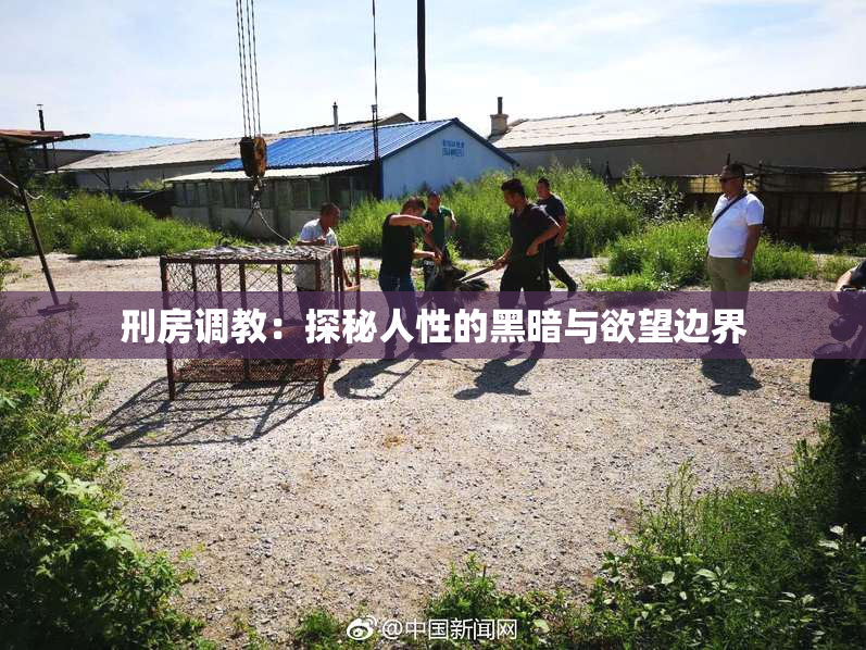 刑房调教：探秘人性的黑暗与欲望边界