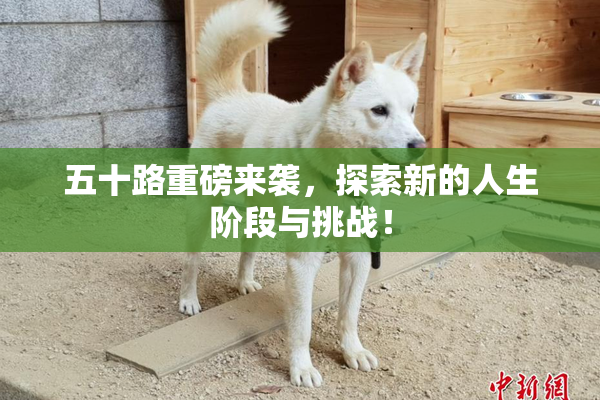 五十路重磅来袭，探索新的人生阶段与挑战！
