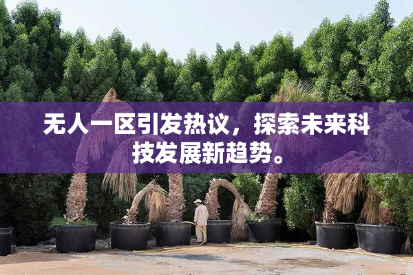 无人一区引发热议，探索未来科技发展新趋势。