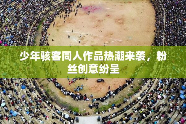 少年骇客同人作品热潮来袭，粉丝创意纷呈