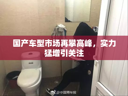 国产车型市场再攀高峰，实力猛增引关注