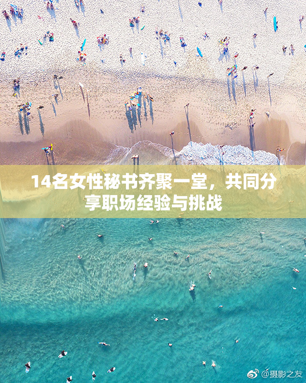 14名女性秘书齐聚一堂，共同分享职场经验与挑战