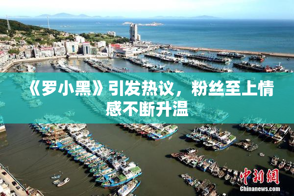 《罗小黑》引发热议，粉丝至上情感不断升温