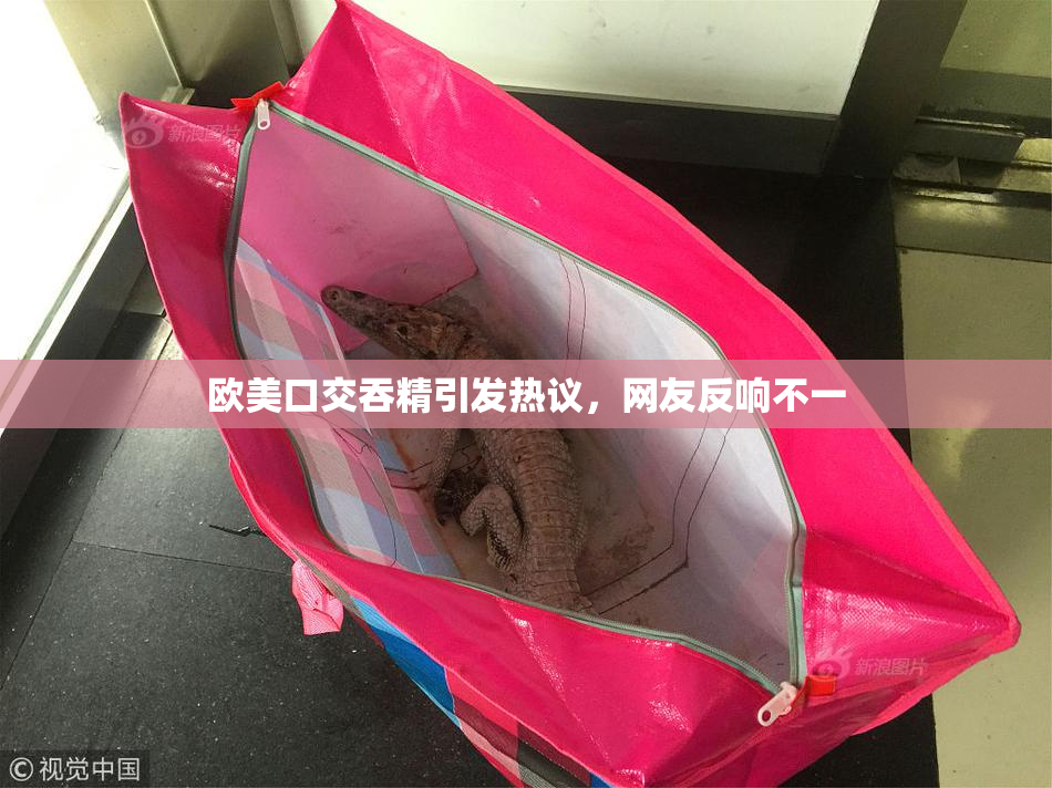 欧美口交吞精引发热议，网友反响不一