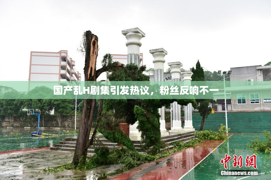 国产乱H剧集引发热议，粉丝反响不一