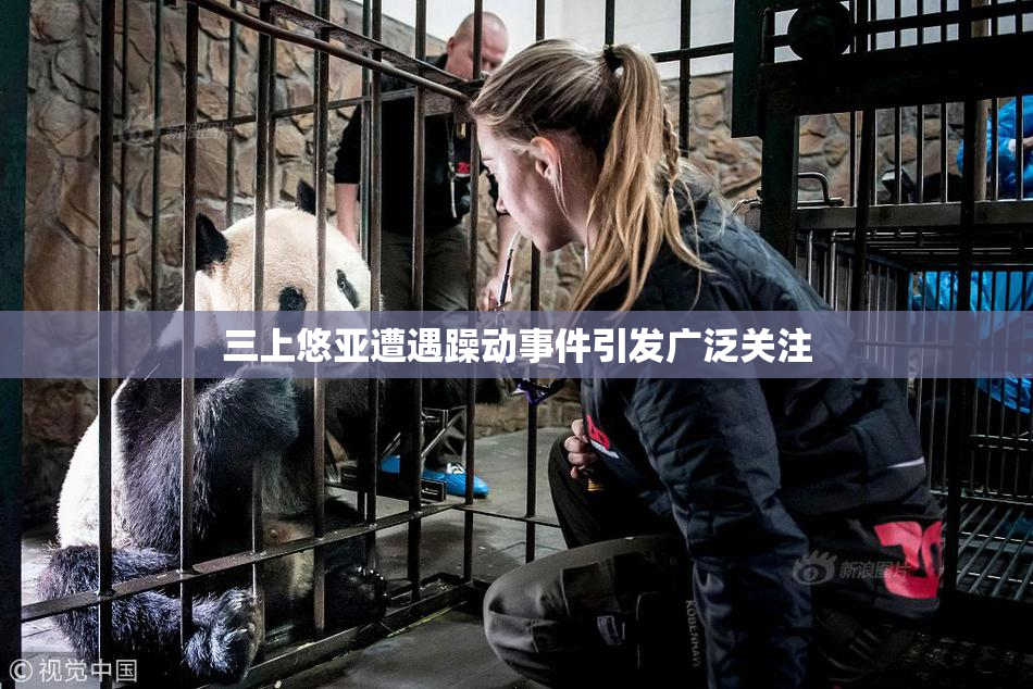 三上悠亚遭遇躁动事件引发广泛关注