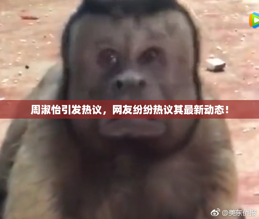 周淑怡引发热议，网友纷纷热议其最新动态！