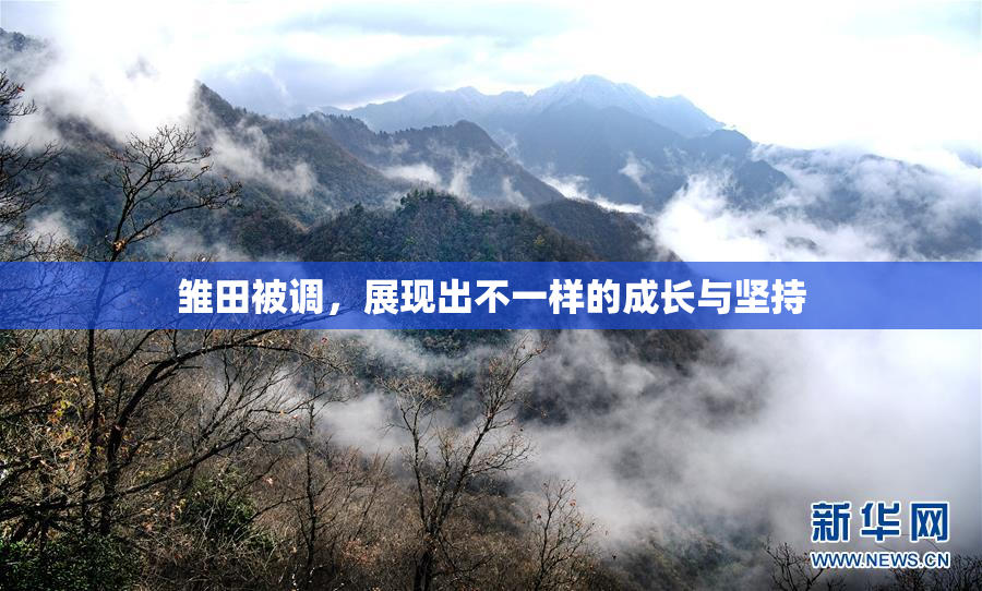 雏田被调，展现出不一样的成长与坚持