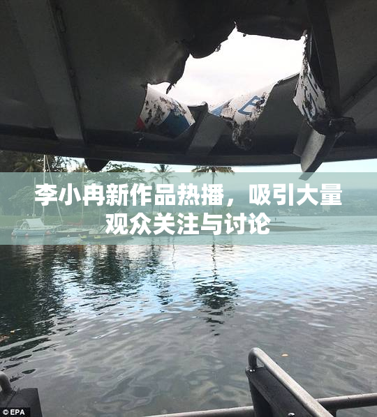 李小冉新作品热播，吸引大量观众关注与讨论