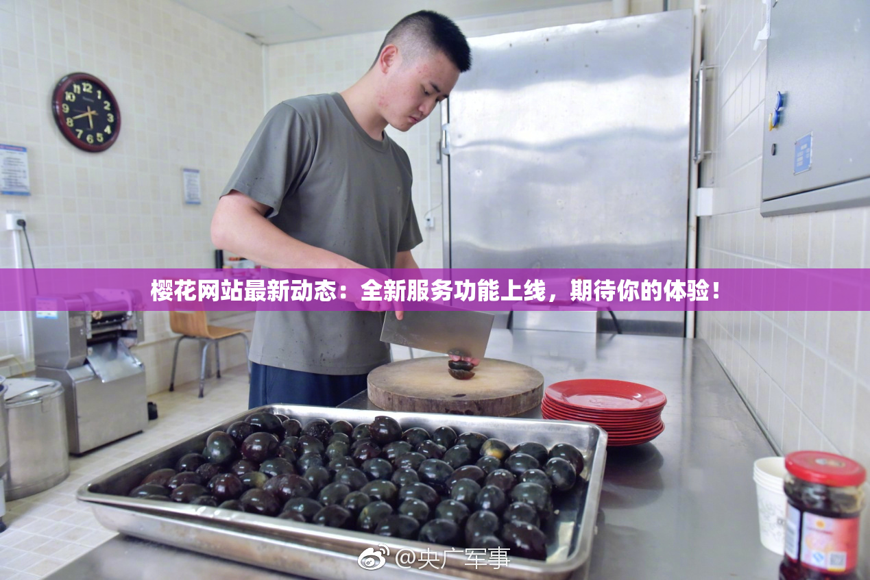 樱花网站最新动态：全新服务功能上线，期待你的体验！