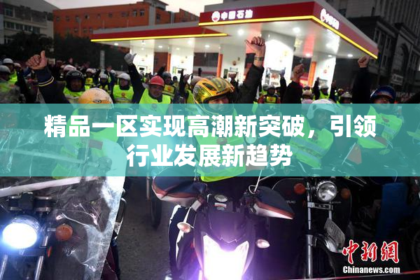 精品一区实现高潮新突破，引领行业发展新趋势
