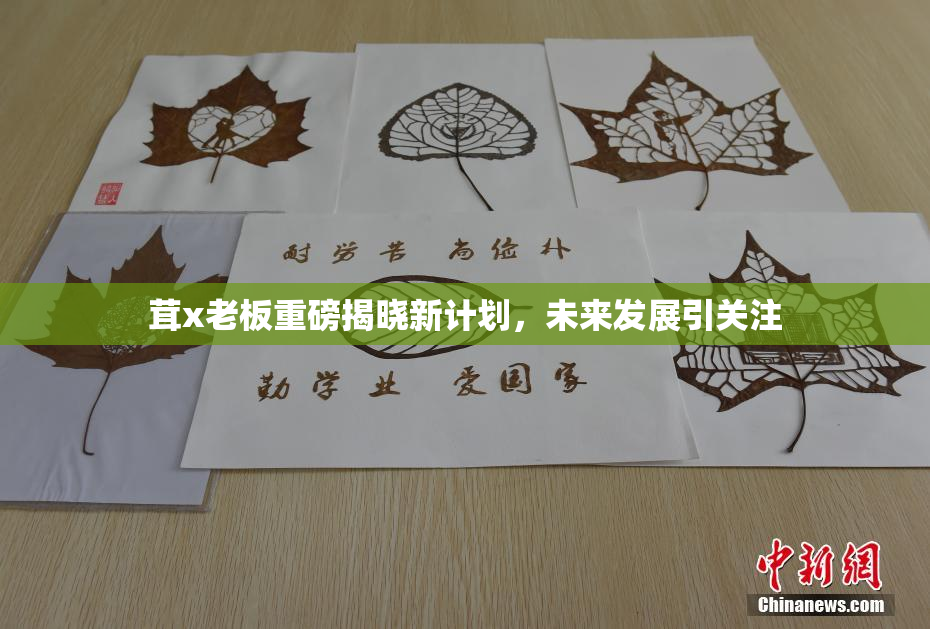 茸x老板重磅揭晓新计划，未来发展引关注