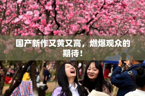国产新作又黄又高，燃爆观众的期待！