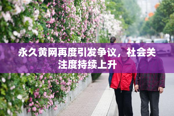 永久黄网再度引发争议，社会关注度持续上升