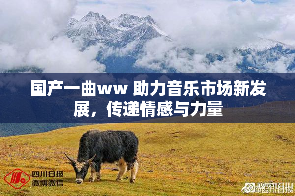 国产一曲ww 助力音乐市场新发展，传递情感与力量