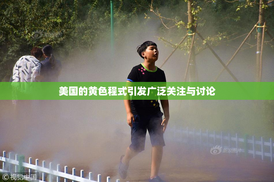 美国的黄色程式引发广泛关注与讨论