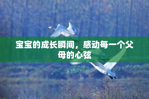 宝宝的成长瞬间，感动每一个父母的心弦