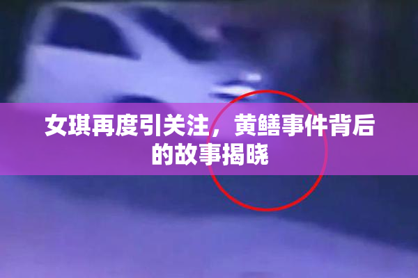 女琪再度引关注，黄鳝事件背后的故事揭晓