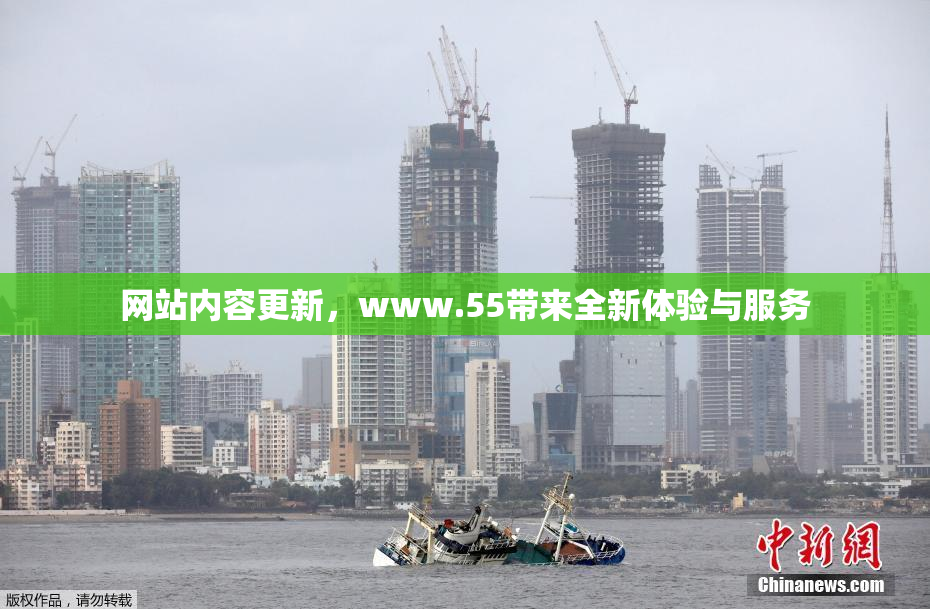 网站内容更新，www.55带来全新体验与服务